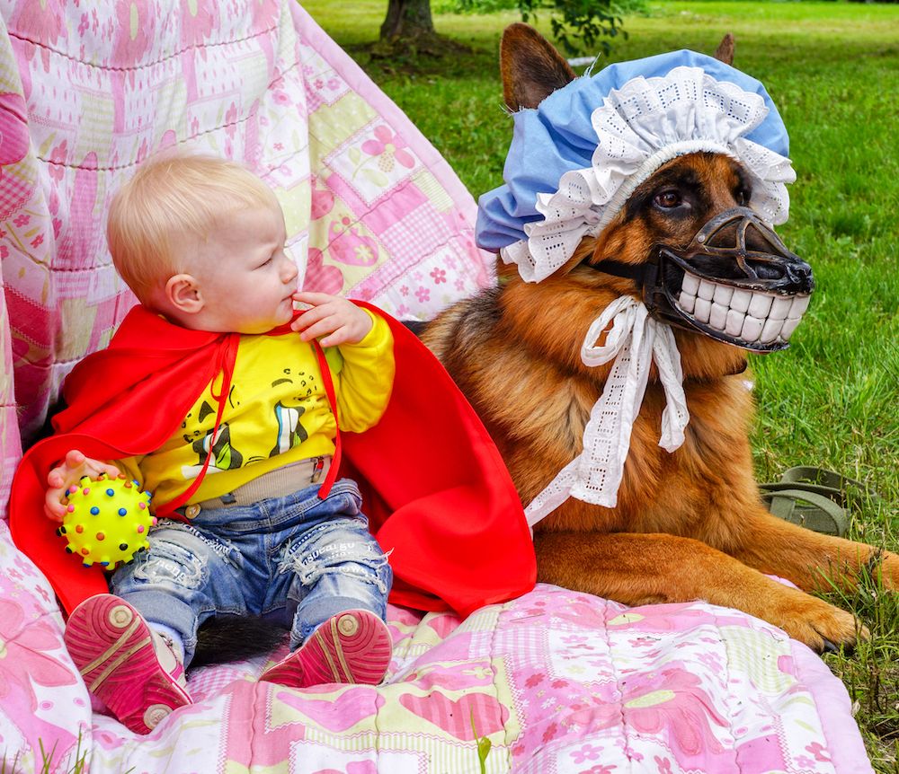 Children and Dog Bites